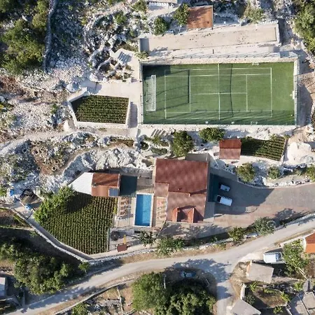 Minto & Slava * Krstatice