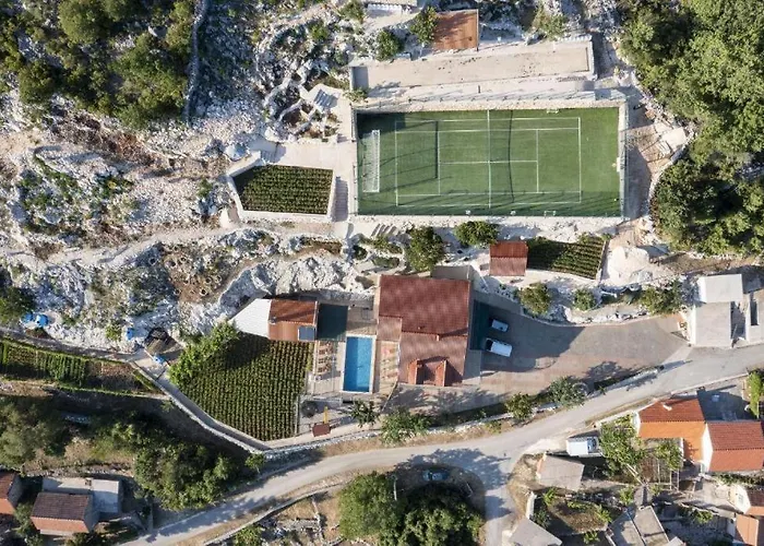 Minto & Slava * Krstatice